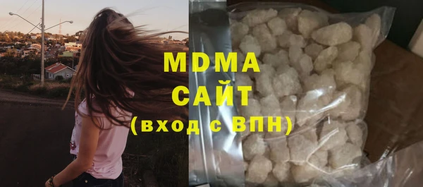 индика Арсеньев