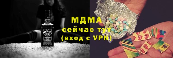 индика Арсеньев