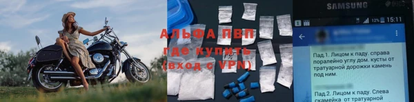 индика Арсеньев
