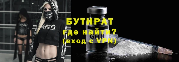 индика Арсеньев