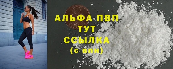 индика Арсеньев