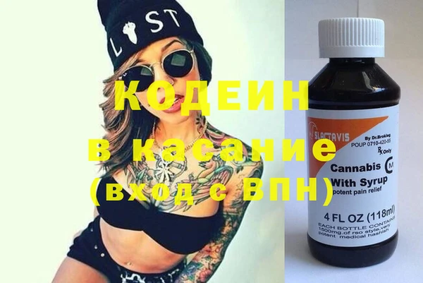 индика Арсеньев