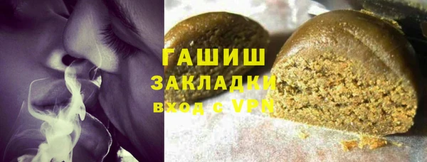 индика Арсеньев