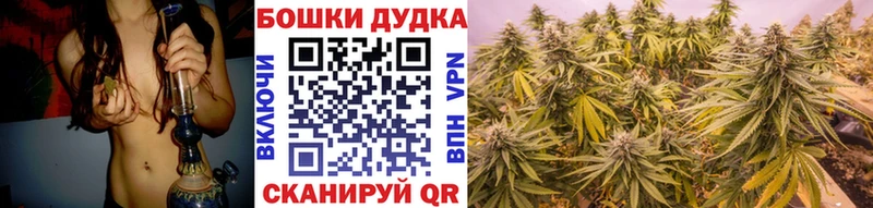 продажа наркотиков  Белоусово  blacksprut   Каннабис сатива 